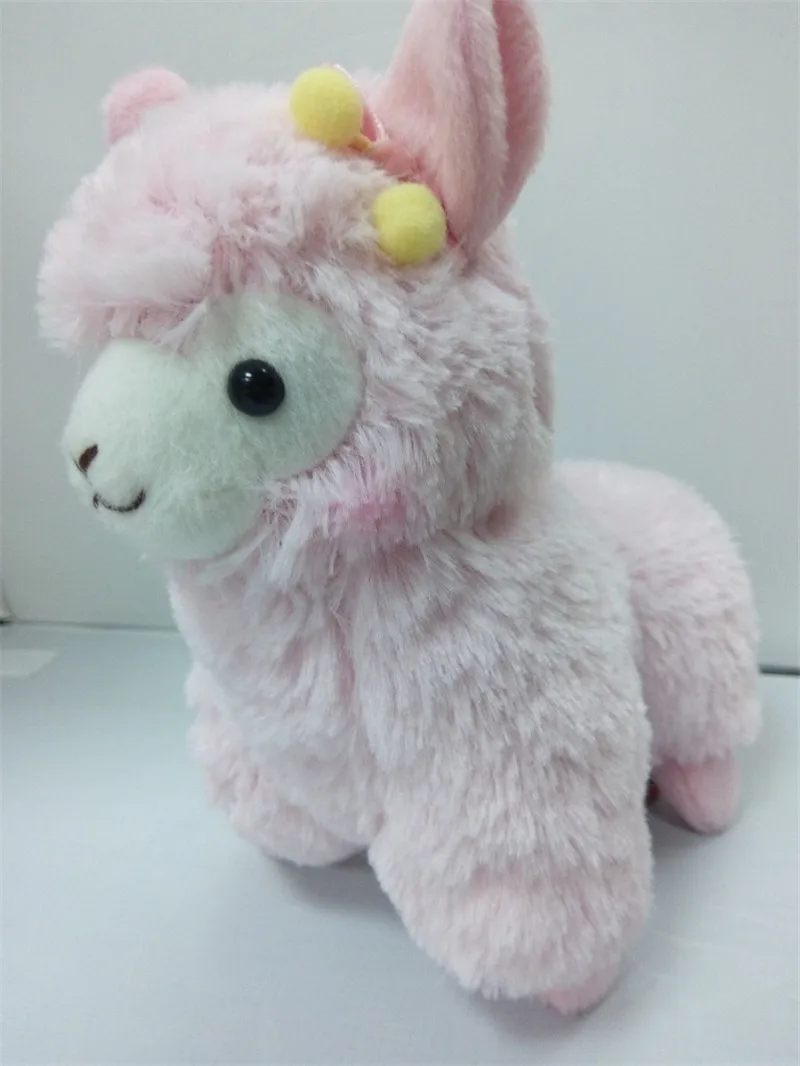 2645205769_1373902412