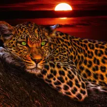 Набор для раскрашивания по номерам для взрослых DIY 100791