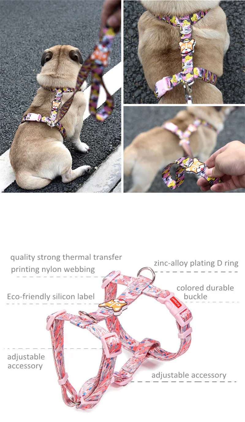 Dog Collars  (15)