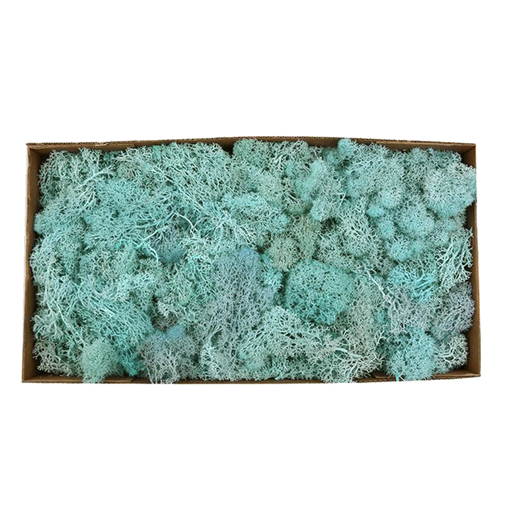 Colorful Artificial Moss Plant DIY Dried Reindeer Moss Floral Crafts Flowers for Plant Pot Garden Home Wedding Decor