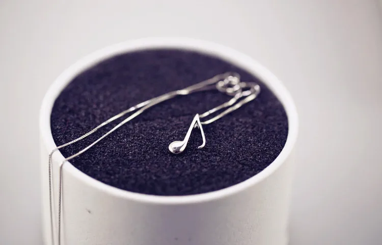 

925 Silver Note Clavicle Necklace Fashion Jewelry Student Friends Gift Fresh CSF13