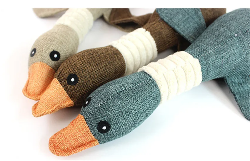 4188496281_994056887