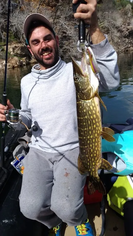 Приманка на щуку HUNTHOUSE 3 шт./лот 12 см 15 18 Fox Rage Pro Shad Natural Classics приманка berserk shad big