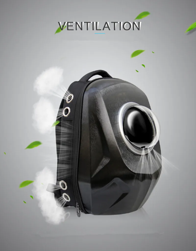 P_{ROSBPZC$_6(_%1[HY}9Y_