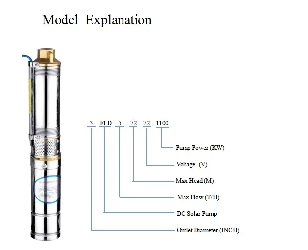 model explination