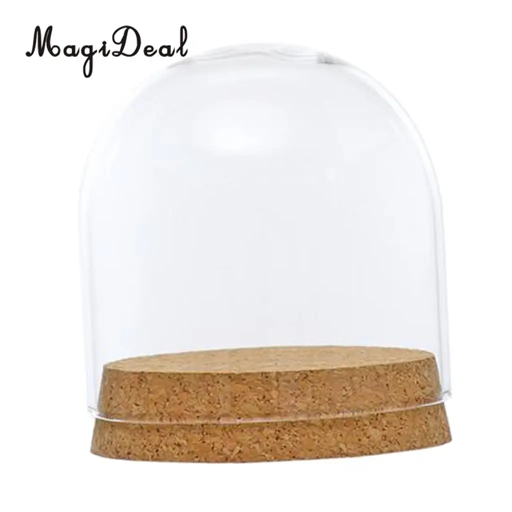 2pcs Clear Glass Display Dome Cover Cloche Bell Jar Succulent Terrariums with Wood Cork for Office Table Decor DIY