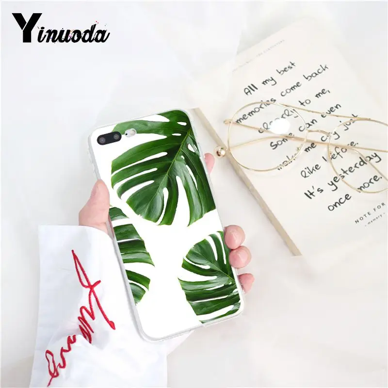Tropical Plants Cactus Banana Leaves
