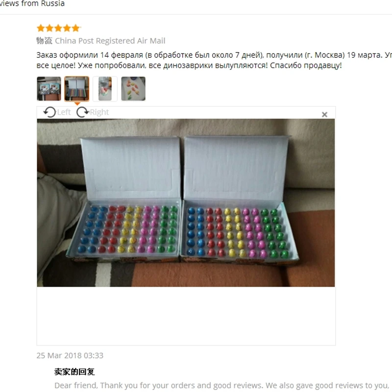 Dinosaur Eggs Toy (7)