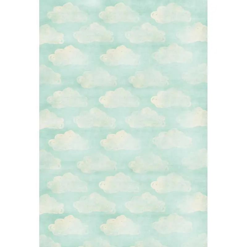 

Thin Vinyl photography background cloud pattern Backdrops Digital Printing Background for photo Studio backdrop F-1496