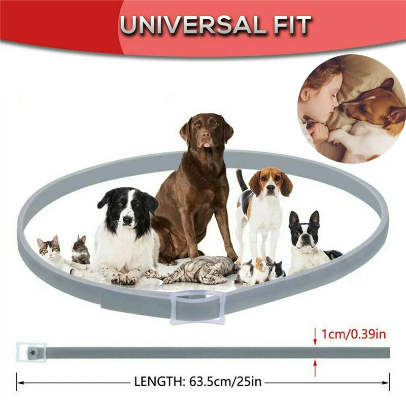 hundespielzeug schwein Hundespielzeug Schwein aus Wildleder – ungefährlich, nachhaltig,robust –  KENSONS for dogs