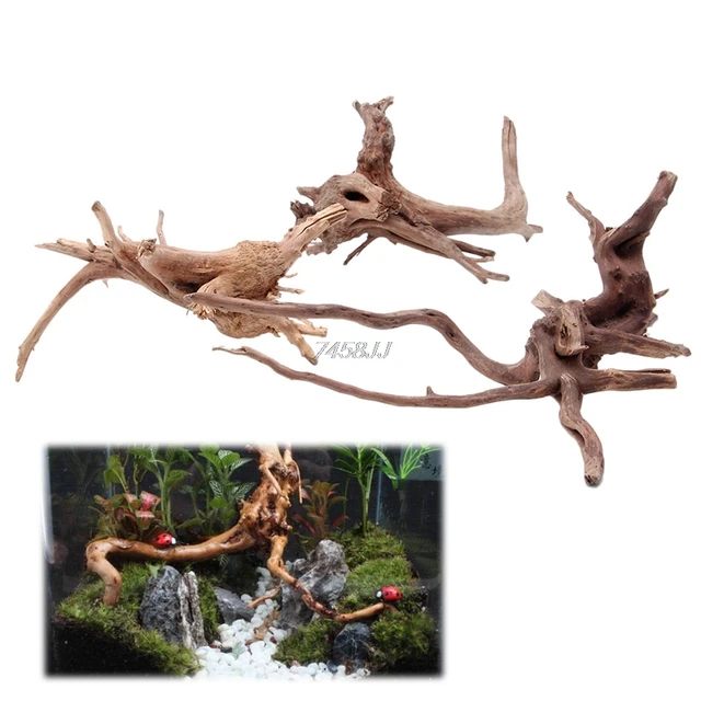 Natural Teak Aquarium Driftwood Branch Ornament for Fish Tank Driftwood US  STOCK