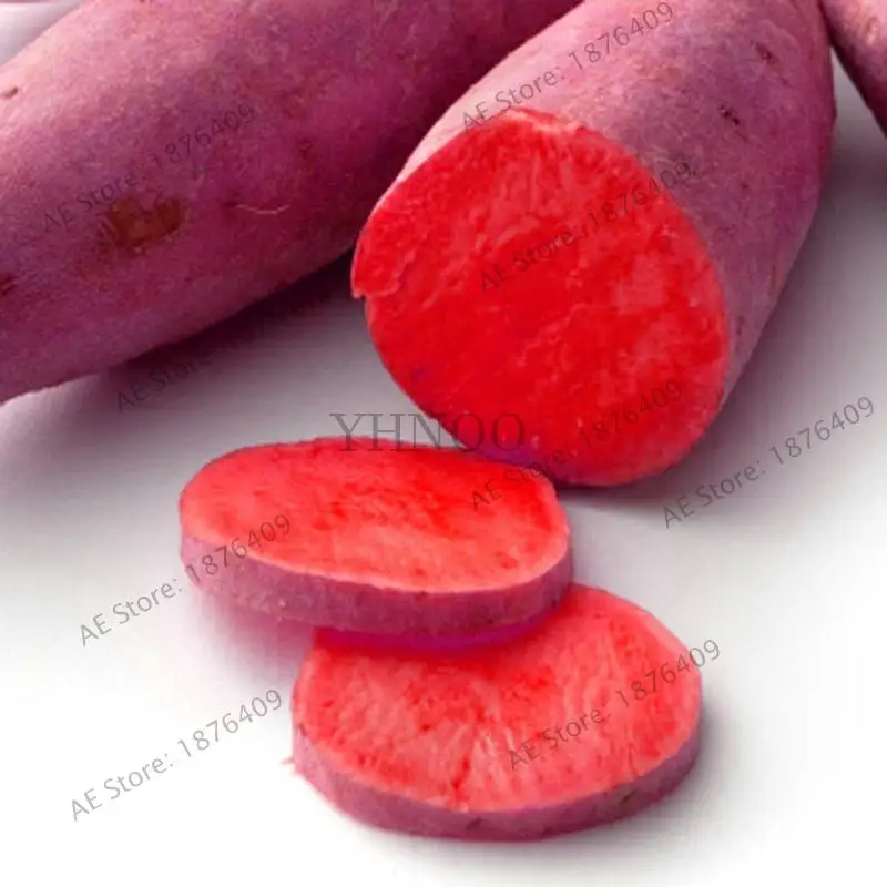 Бонсай 200 шт. фиолетовый сладкий картофель Ipomoea batatas вкусные растения без ГМО овощи для двора фермы посадки