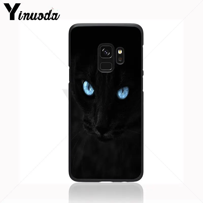 Black Cat Staring Eye