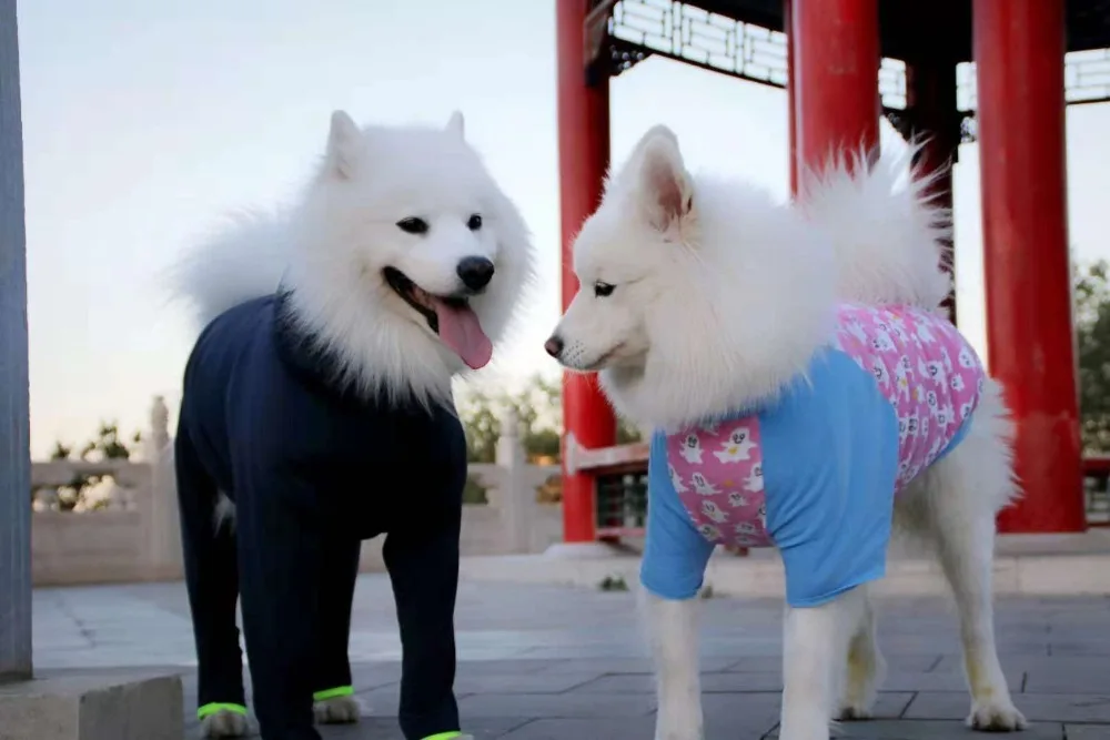 Спортивная одежда для собак, зимняя куртка для холодной погоды, теплая верхняя одежда для больших собак
