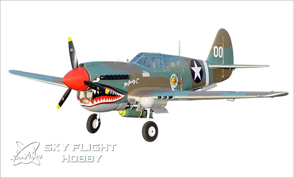 p40 c-6