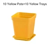 Yellow Pots and Tray