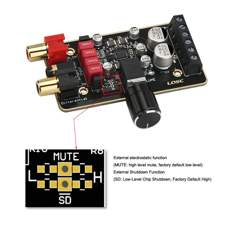 D Digital Amplifier Board Subwoofer Amplifier Stereo Dual Channel Amplifier Module