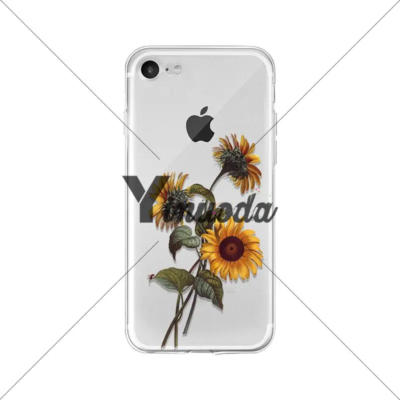 Flower sunflower