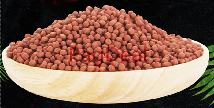 parrot food01