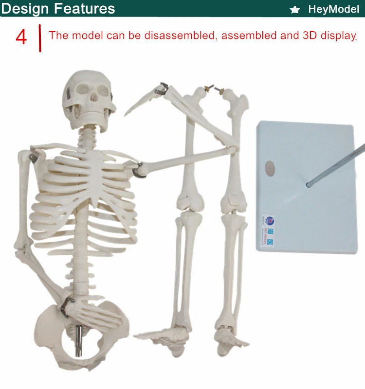 4 _