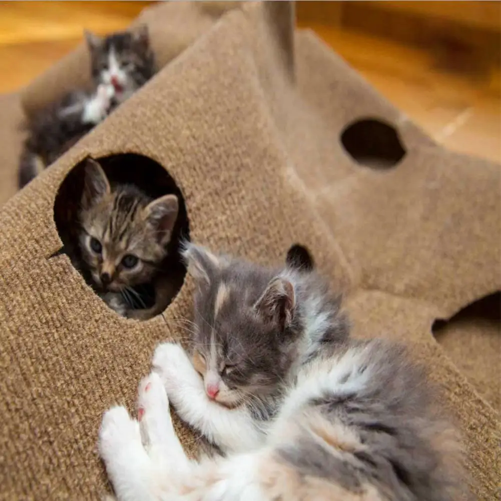 Unique Cat Toy For Pet Training Mat Cat Agility Training Mat Cat Biting Pad Squirrels Rabbits Tunnel Cat Supplies Unique Cat Toy For Pet Training Mat Cat Agility Training Mat Cat Biting Pad Squirrels Rabbits Tunnel Cat Supplies