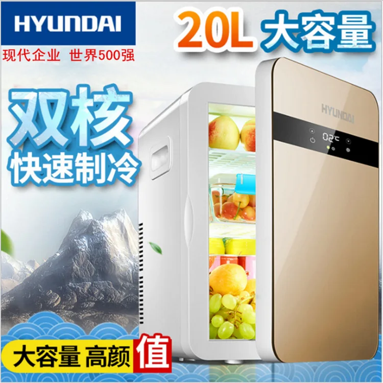 

Portable Fridge Mini Fridges Heladera Small Fridge Vehicle Refrigerator Mini Refrigerator Cold and Heating Box 12V/220V