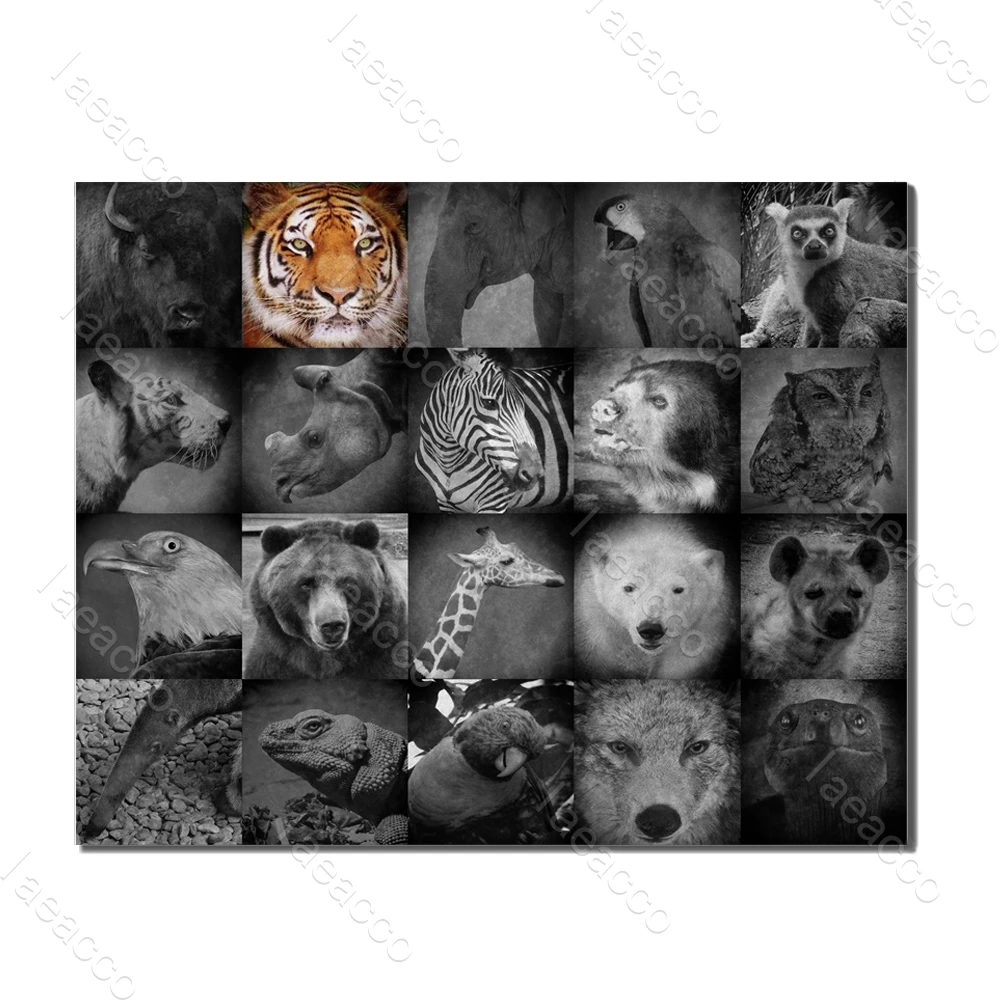 

Tiger Zebra Giraffe Animal Poster and Print Vintage Decorative Canvas Painting Picture for Living Room Home Decor No Frame