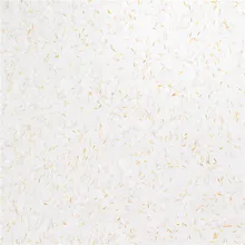 Liquid Wallpaper Plaster Wall-Coating Silk H210