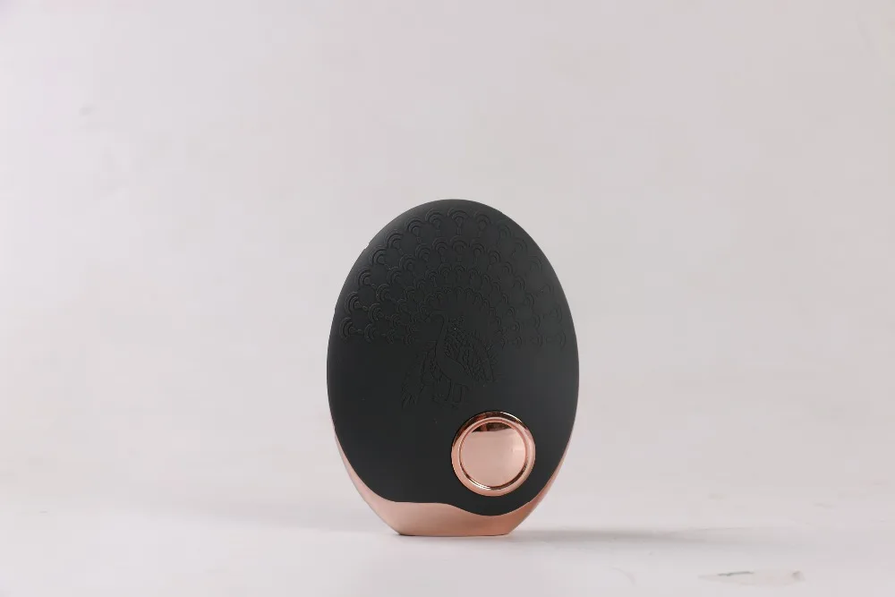 Electric-Facial-Cleanser-Face-Cleaning-Toning-Device