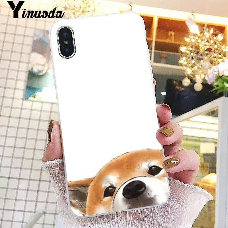 Animal Shiba Inu DIY Painted Beautiful