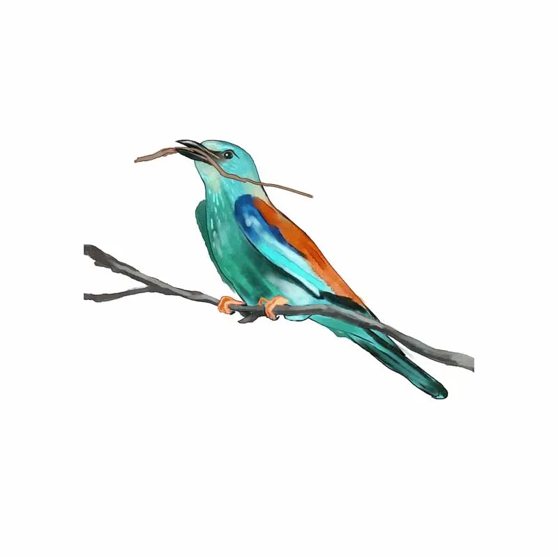 YOJA 24 2X16 2 см Intereting Boogie Bird наклейки для унитаза гостиной домашний декор Настенная