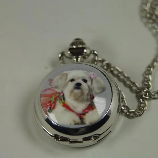 Новый прекрасный собака карманные часы кварцевые 1 шт./лот бесплатная доставка