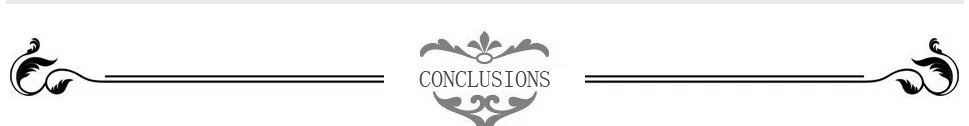CONCLUSIONS