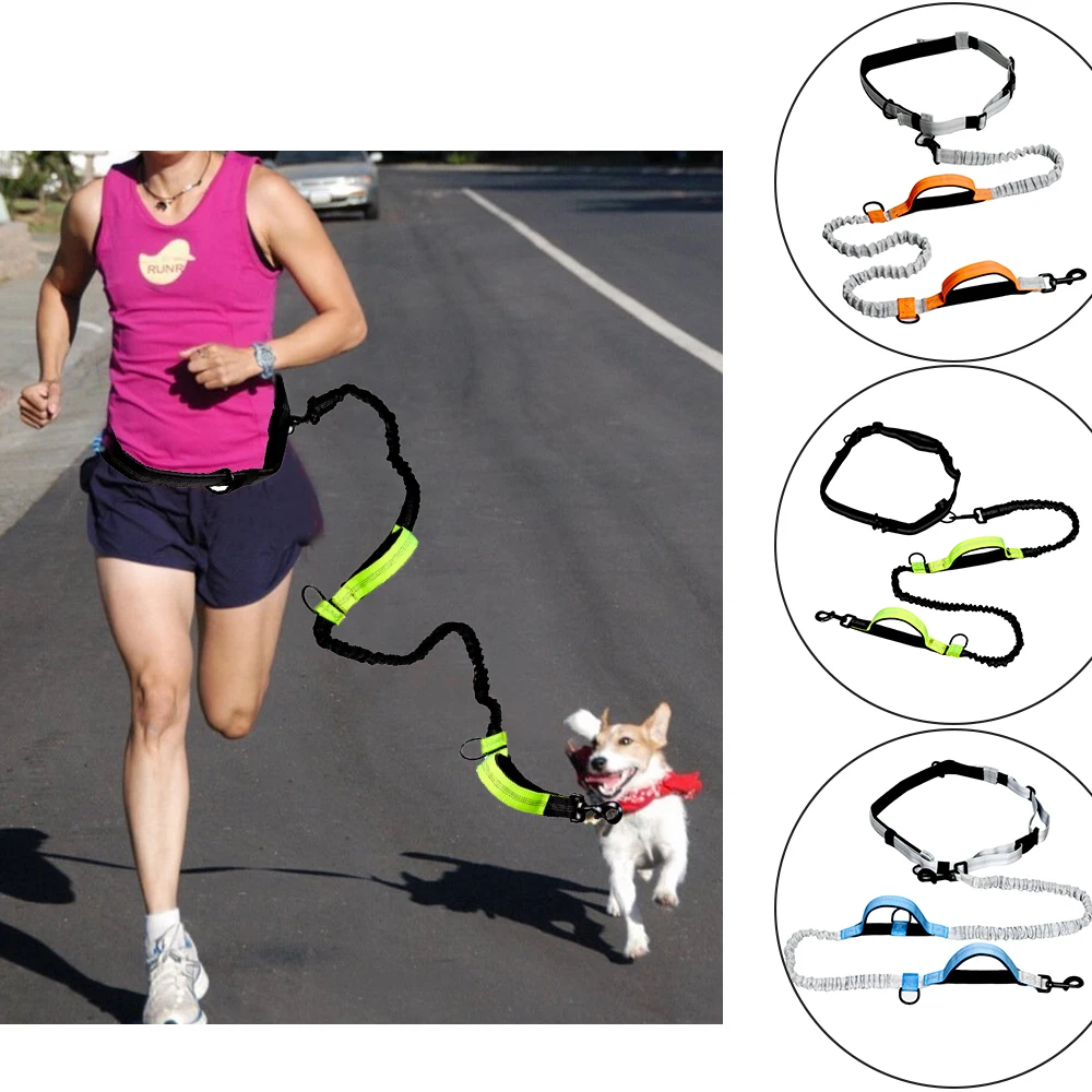 Buy Outdoor Retractable Hands Free Dog Leash Pet Strap