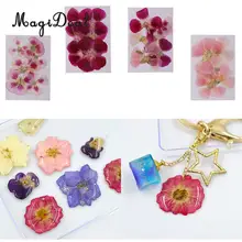 6x натуральные прессованные настоящие сухие цветы образец для изготовления ювелирных изделий литье смолы DIY ремесло украшения для скрапбукинга 4-7 см