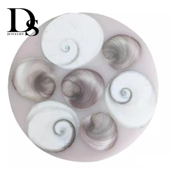 

Natural Shell Fossil Ammonite Slice Plate Crystal Ocean Conch Stone Madagascar Mineral Specimen Display Wedding Party Decoration