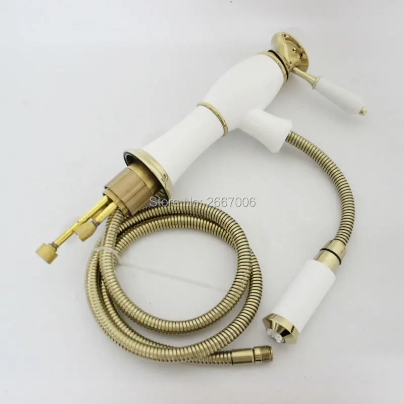 ZR584 (14)