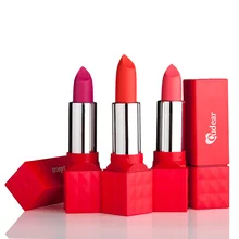 Brand Makeup Moistourizing Lip Matte Lipstick Lip Gloss Long Lasting Full Lip Tattoo Liquid Lipstick Kit