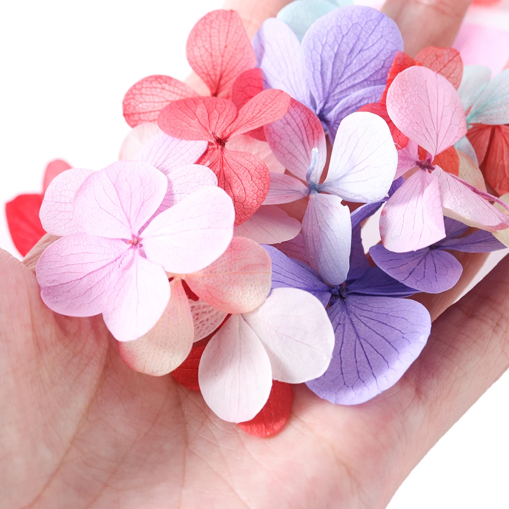 10/50pcs Nail Dried Flower Summer Real Hydrangea 3D Nail Art Decorations Stickers Decals Manicure Charms UV Gel Jewelry Tips