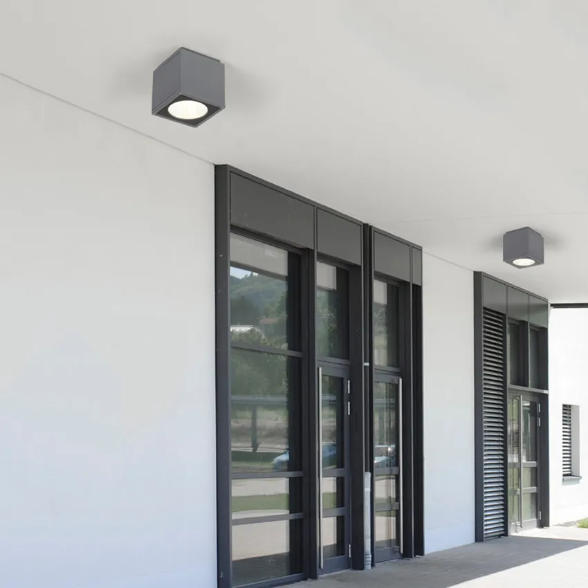 Outdoor ceiling light (8)