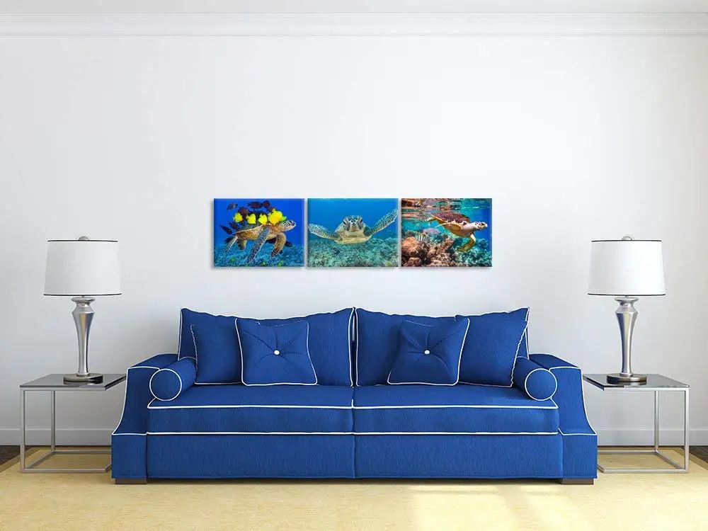 61fBVjjb1XL._SL1000_