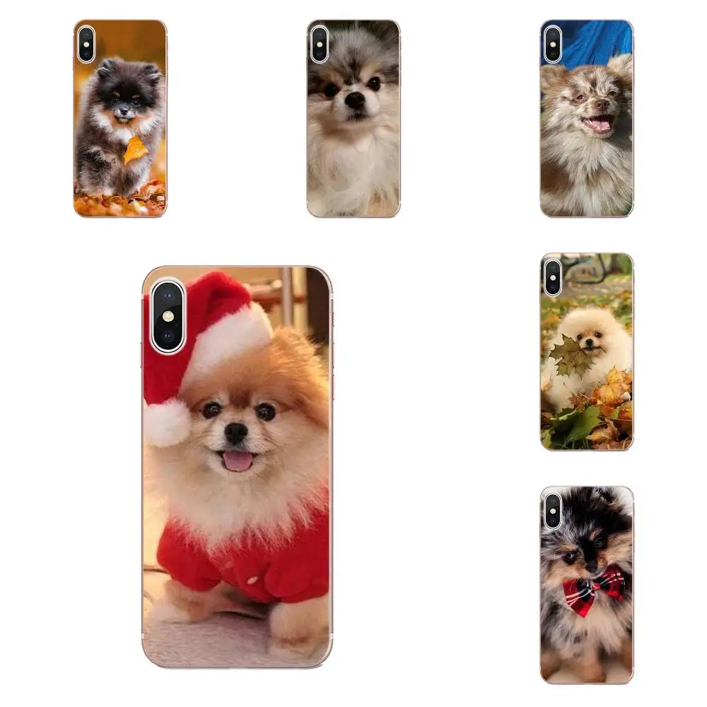 Pomeranian Dogs симпатичный чехол для Apple iPhone X XS Max XR 4 4S 5 5C 5S SE 6 6S 7 8 Plus Мягкий Силиконовый