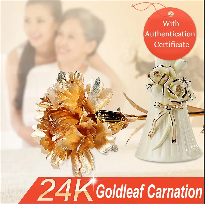 Carnation 11