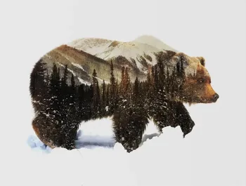 

Painting By Numbers DIY Dropshipping 40x50 50x65cm Snow bear in winter Animal Canvas Wedding Decoration Art picture Gift
