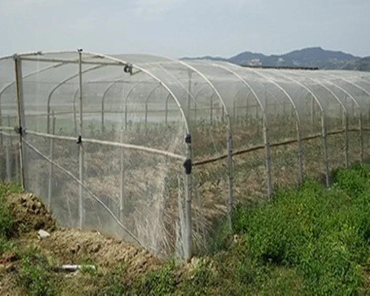 Pest Control For Fruit Tree Greenhouse 40Mesh Insect Netting Garden Vegetables Protection Cockroach Mosquito PE Nylon Net