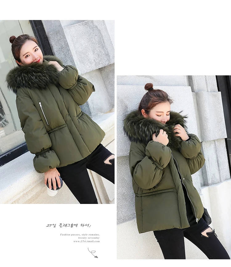 FJH-1_13