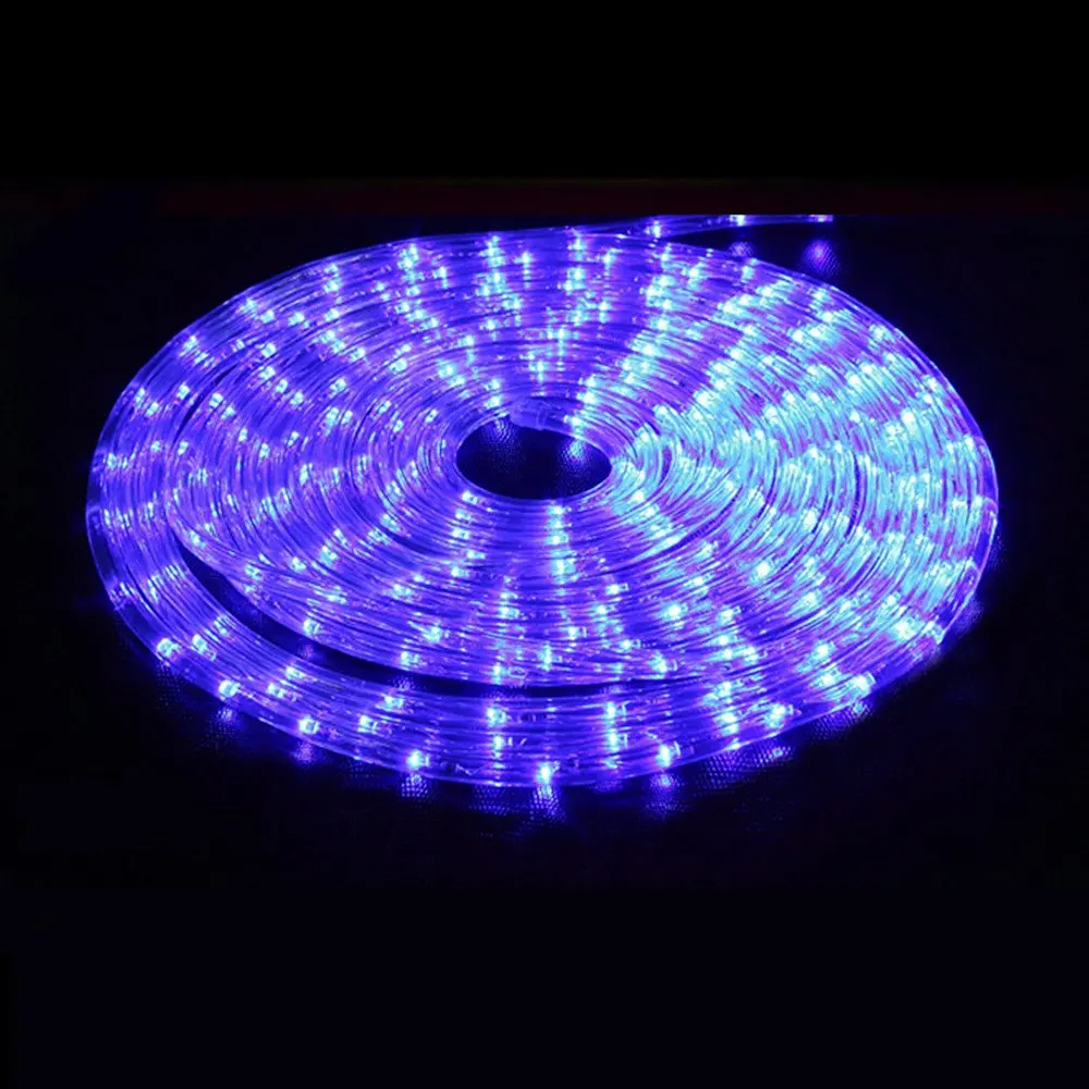 

AC 220V 50-60HZ 10M LED Light Flexible Colorful Rainbow Tube Rope Flash Controller Outdoor Waterproof Christmas Decoration