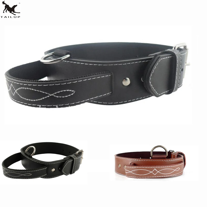 strong dog leash and collar