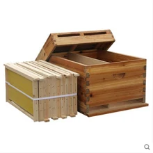 Пчеловодство коробка с пчелами полный живое дно вареная восковая пихта коробка с пчелами весь набор полуфабрикат коробка-гнездо novice инструмент пчеловода apcultura