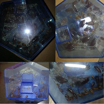 

Cockroach Trap for Home Office Kitchen Upgrade Safe Efficient Anti Cockroaches Killer Pest Control Large Repeller No Pollute